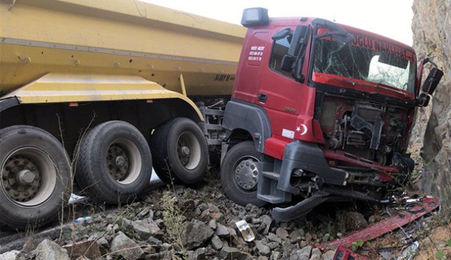Zonguldak yolunda kaza..Şoförü arı soktu!..