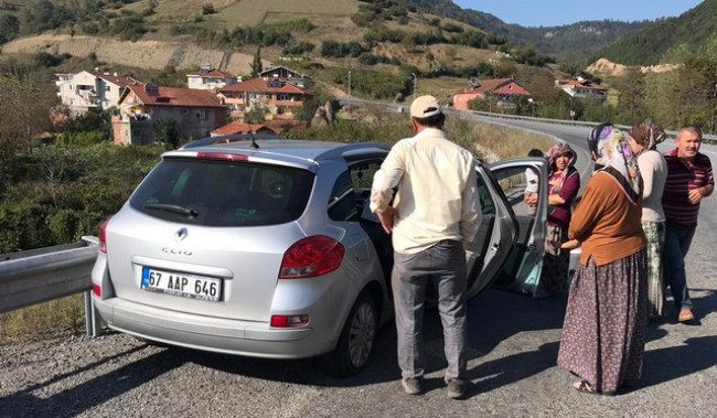 Bir arı vakası daha!..