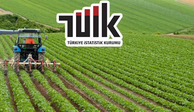 Yurt içi üretici fiyat endeksi aylık %0,13 arttı