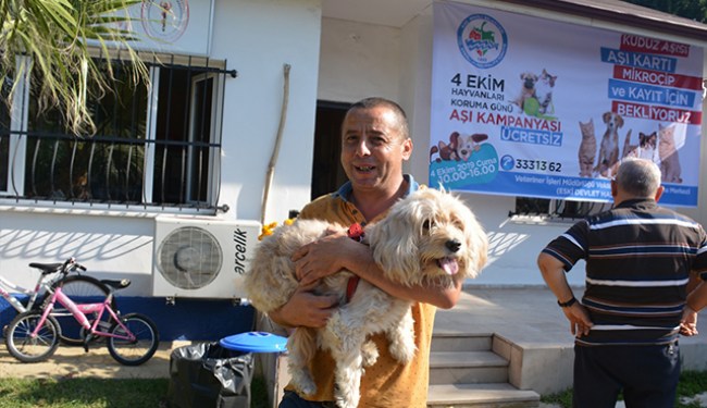 Barınaktaki hayvanlar büyük açık alanda dolaşacak