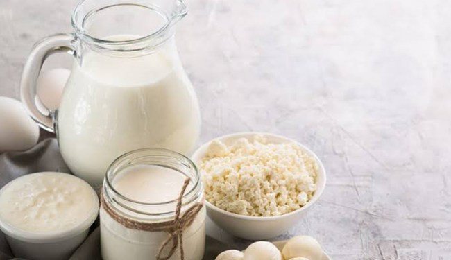 Süt ve süt ürünleri üretimi, Eylül 2019