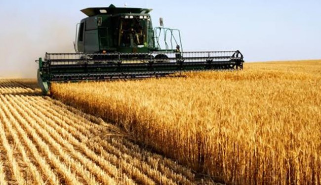 Tarım ürünleri üretici fiyat endeksi, Ekim 2019