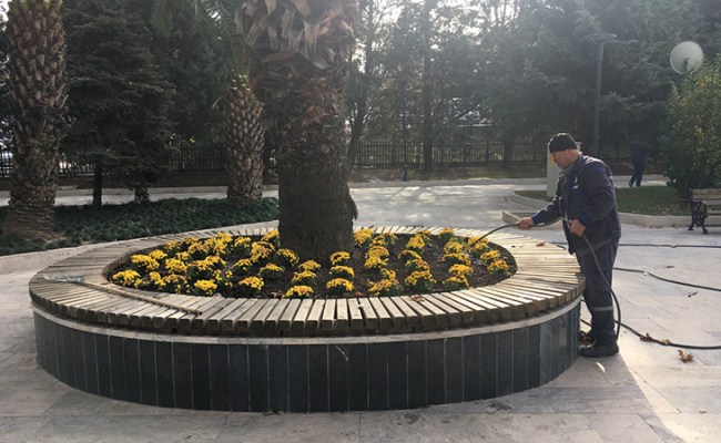 Kdz Ereğli çiçek açtı