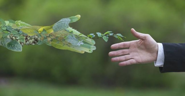 Çevre koruma harcamaları 38,2 milyar TL olarak gerçekleşti