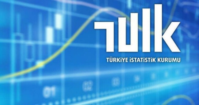 Yurt içi üretici fiyat endeksi aylık %0,08 düştü
