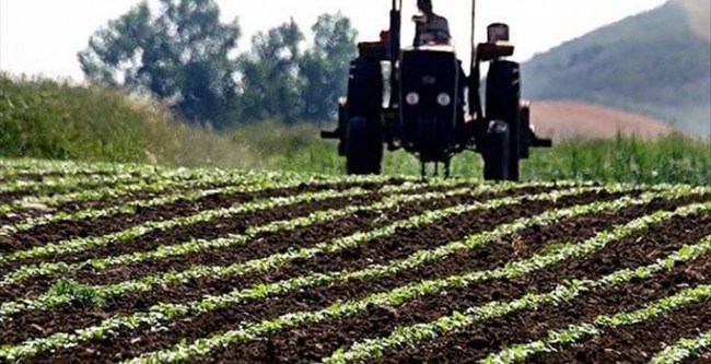 Tarım- ÜFE Kasım ayında %1,76 arttı
