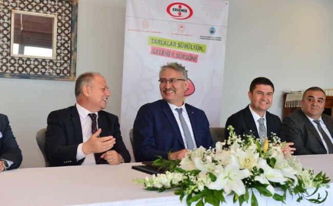 Ereğli’de Gelenek Sürecek, Tarlalar Osmanlı Çileği İçin Sürülecek