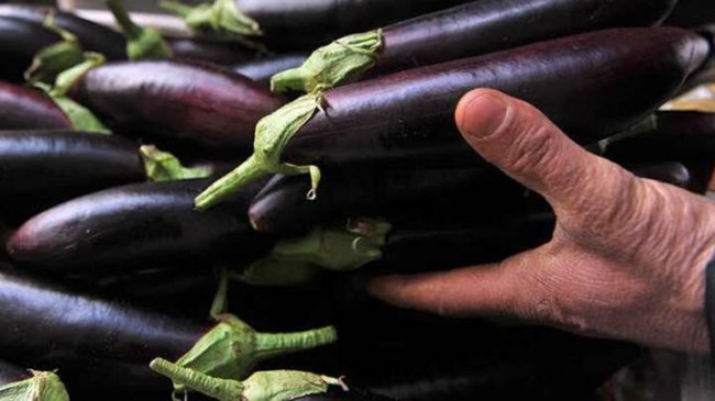 Bu yılın zam şampiyonu patlıcan!..