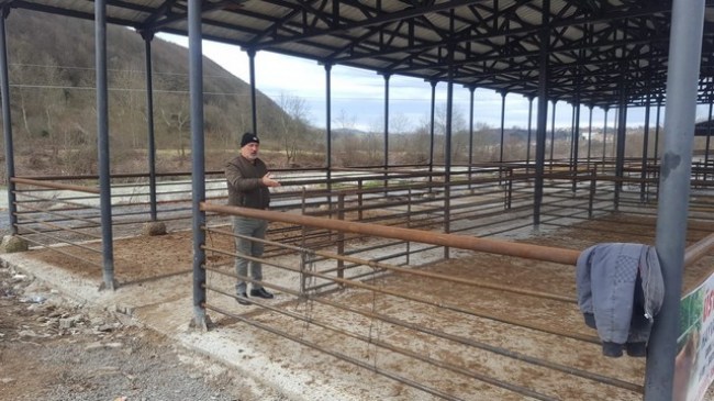 Subaşı hayvan pazarı cazibe merkezi haline gelecek..