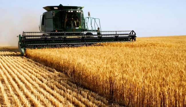 Tarım ürünleri üretici fiyat endeksi, Ocak 2020