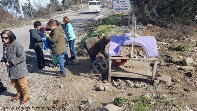 CHP’den hayvan severlere çağrı
