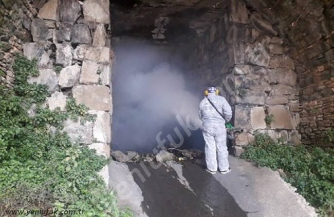 Sivrisinekle mücadele başladı