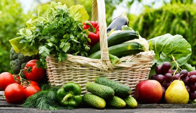 Bitkisel ürün fiyatları ve üretim değeri, 2019