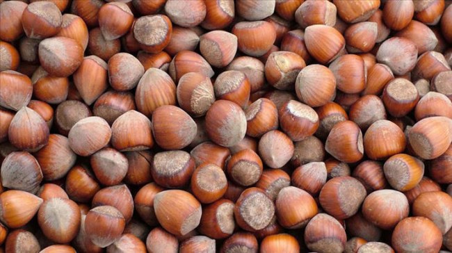 Bitkisel ürünlerde en yüksek yeterlilik derecesi %445,5 ile fındıkta gerçekleşti