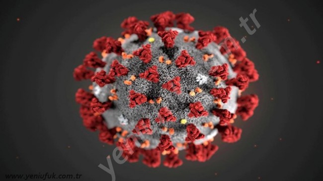 Banka çaycısında korona virüsü!