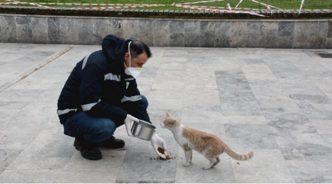 Kdz. Ereğli Belediyesi sokak hayvanlarını unutmuyor