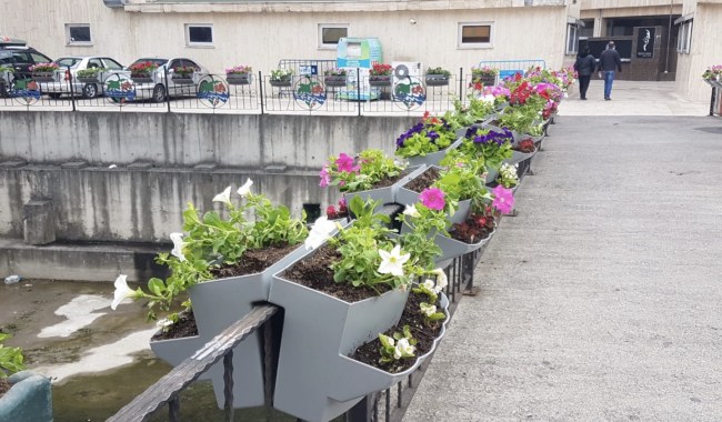 Belediye şehri güzelleştiriyor..