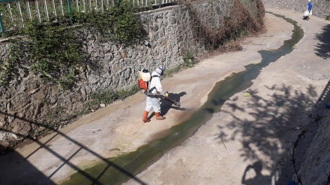 Kdz. Ereğli Belediyesi 31 mahallede ilaçlama çalışması başlattı..