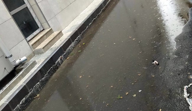 Dikkat!.. Bonesiz girmek yasak!..