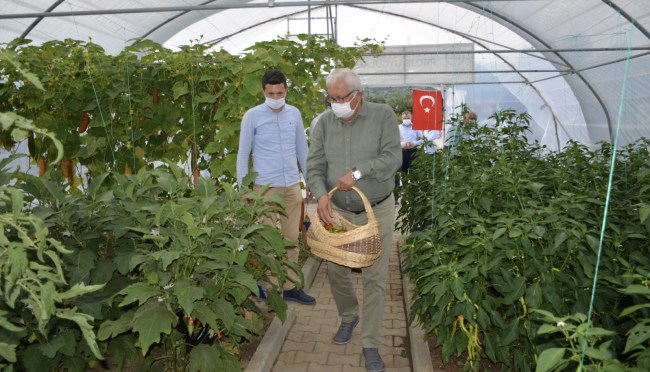 Ata tohumu halka ücretsiz dağıtılacak..