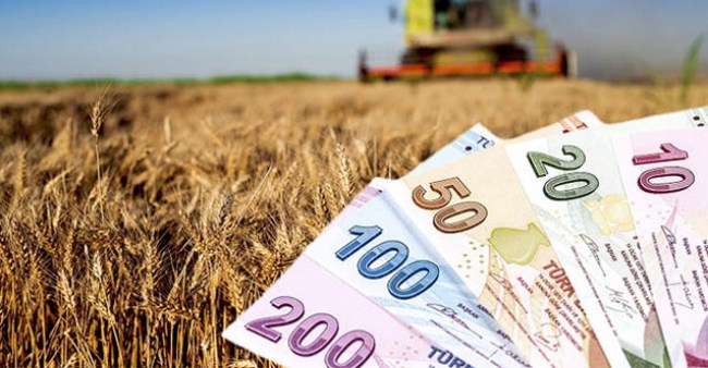 Destek ödemeleri bugün hesaplara yatacak