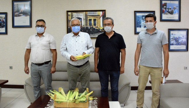 Ata tohumunda ilk hasat..