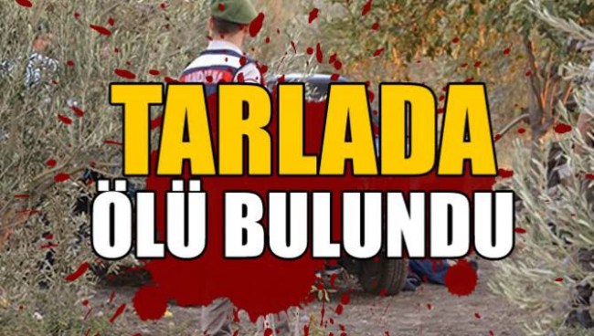 Son Dakika... Tarlada ölü bulundu..