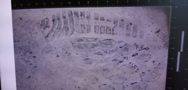 Ereğli emniyeti hırsızı ayak izinden tanıdı..