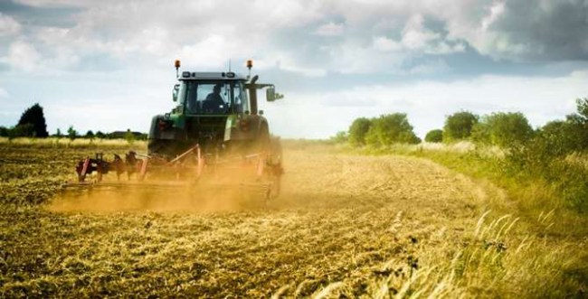 Tarım ürünleri üretici fiyat endeksi (Tarım-ÜFE) yıllık %17,36, aylık %0,22 arttı