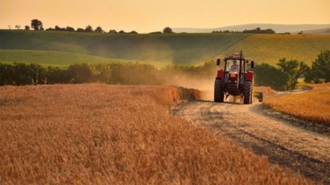 Tarımsal girdi fiyat endeksi (Tarım-GFE) yıllık %6,74, aylık %0,61 arttı