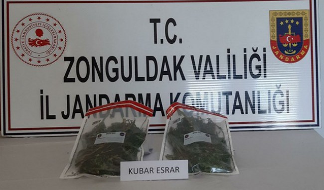 Satışa çıktı, jandarma aldı!..