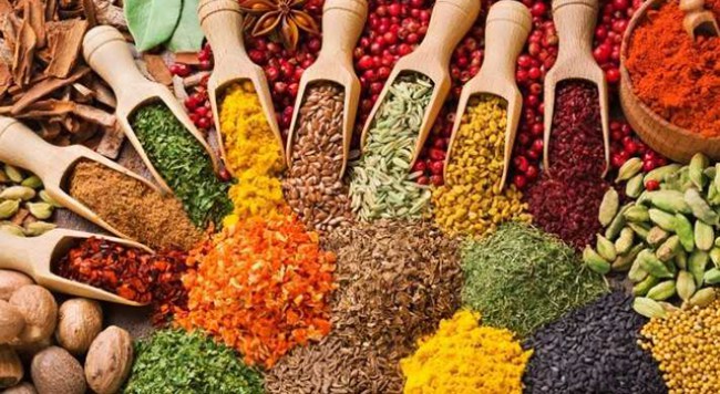 Bitkisel üretimin bir önceki yıla göre artacağı tahmin edildi