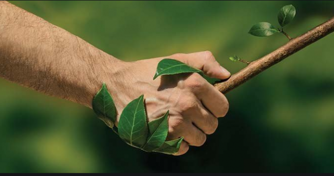 Çevre koruma harcamaları 38,4 milyar TL olarak gerçekleşti