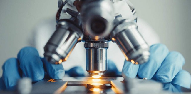 Biyoteknoloji İstatistikleri