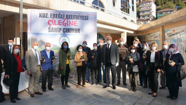 Kdz.Ereğli belediyesi çileğine sahip çıkıyor