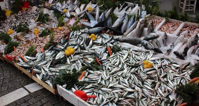 Balık fiyatları çıldırdı !