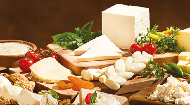 Süt ve Süt Ürünleri Üretimi