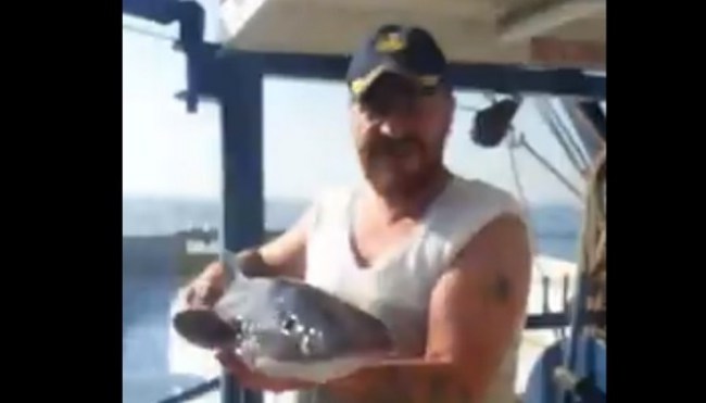 Trol ağına köpekbalığı takıldı