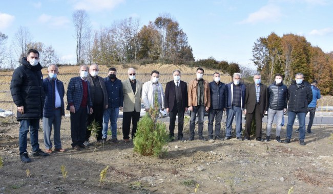 AK Parti doğaya can verdi