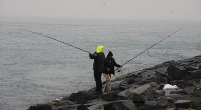 Olta Balıkçılığına covid-19 ayarı