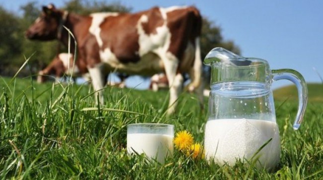 Süt üretimi %4 arttı