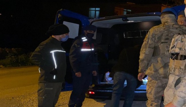 Yaralı Karaca'yı, jandarma kurtardı