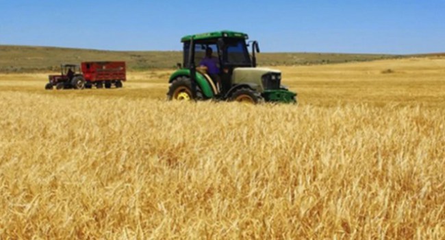 Tarım-ÜFE yıllık %20,76, aylık %3,52 arttı