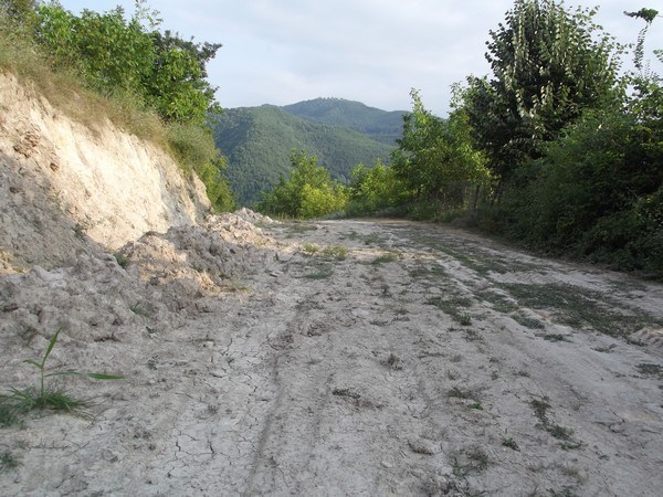 Haber Görseli