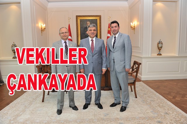 Zonguldak Milletvekilleri Gül'le buluştu..