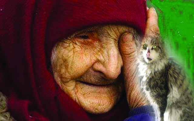 KADININ SOKAK KEDİLERİ KADAR DEĞERİ YOK MU?..