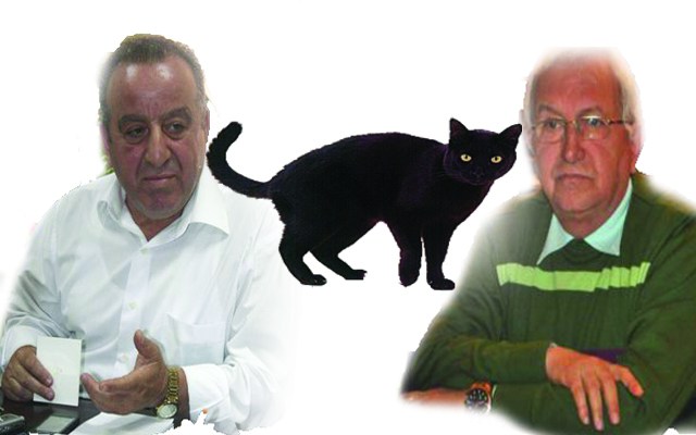 Aralarına 'KARA KEDİ' girdi!..