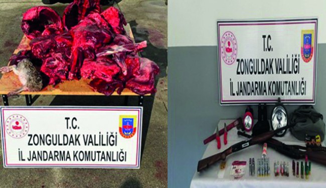 Kaçak avcılara jandarma baskını