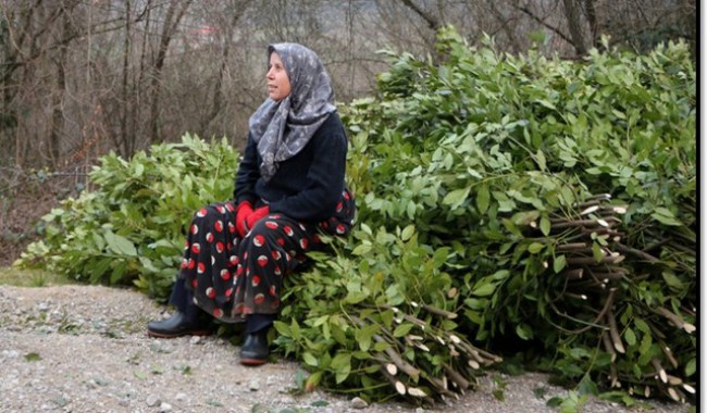 Defne, Zonguldak'ta bir sektör oldu