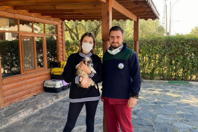 Bursa'da Osmangazi Sahipsiz Hayvanlar Doğal Yaşam ve Tedavi Merkezi hizmet vermeye devam ediyor